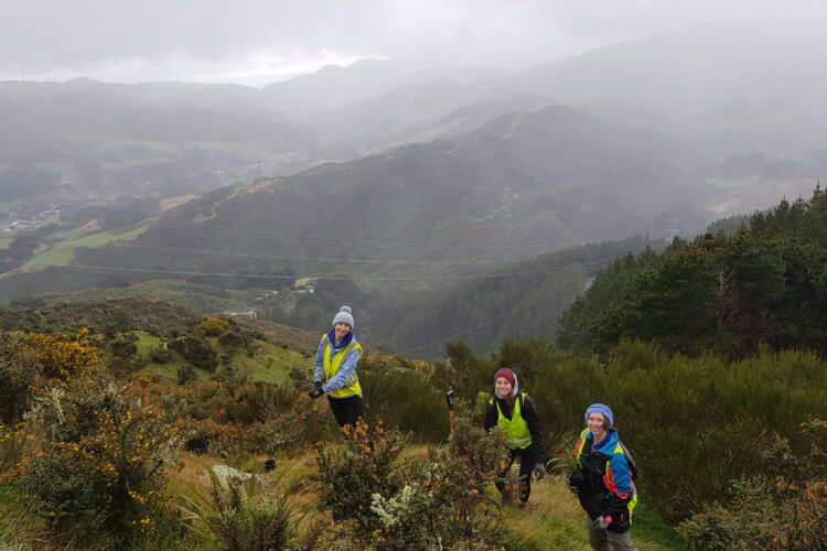 Volunteers on a hillside with a misty view of mountains in the background
