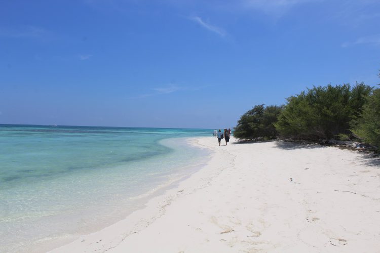 Volunteers on the beach in the Maldives