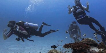 Volunteer divers swimming in blue water near coral reef