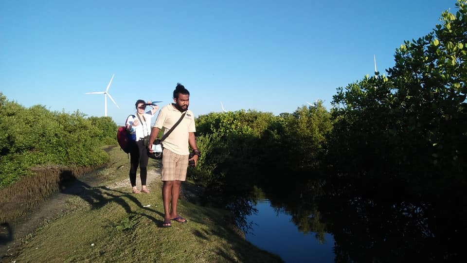 Volunteers by mangroves