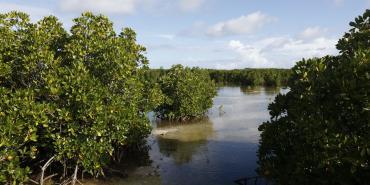 Climate and Geography