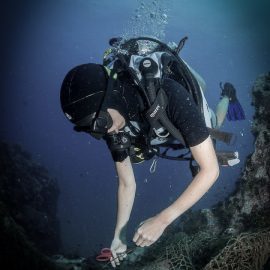 coral conservation volunteer diving in Thailand