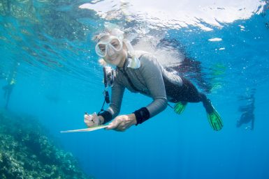 Coral research volunteer swimming