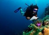 Coral Reef Conservation & Diving Project, Thailand