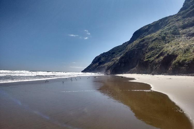 Maunganui Bluff in New Zealand