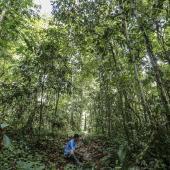 Veerle Ammerlaan, the Netherlands
