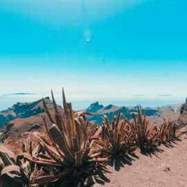 View of tenerife photo by Miltiadis Fragkidis