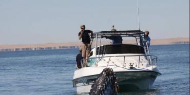 Taking action for marine life: