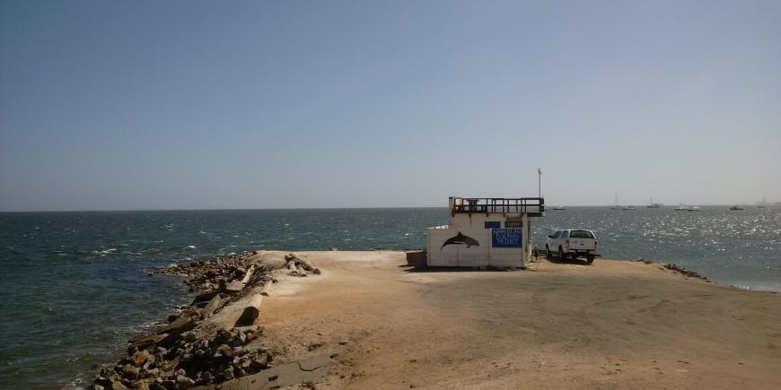Dolphin research station on Namibia coast