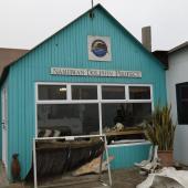 Nico Heyning, previous intern on Dolphin Research project in Namibia