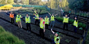 Volunteers with their hands in the air standing between many rows of tree seedlings in the tree nursery