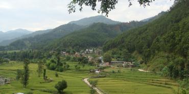 Wildlife and Biodiversity