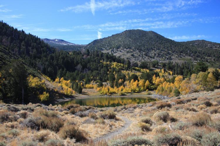 Galena Creek lake view with mountain in distance