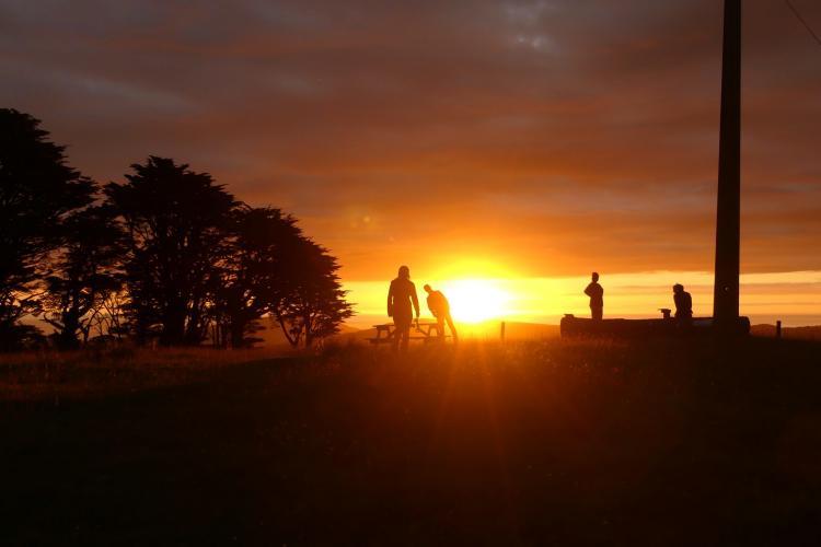 Sunset at New Zealand nature reserve