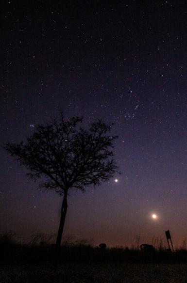 Night sky at wildlife reserve in South Africa