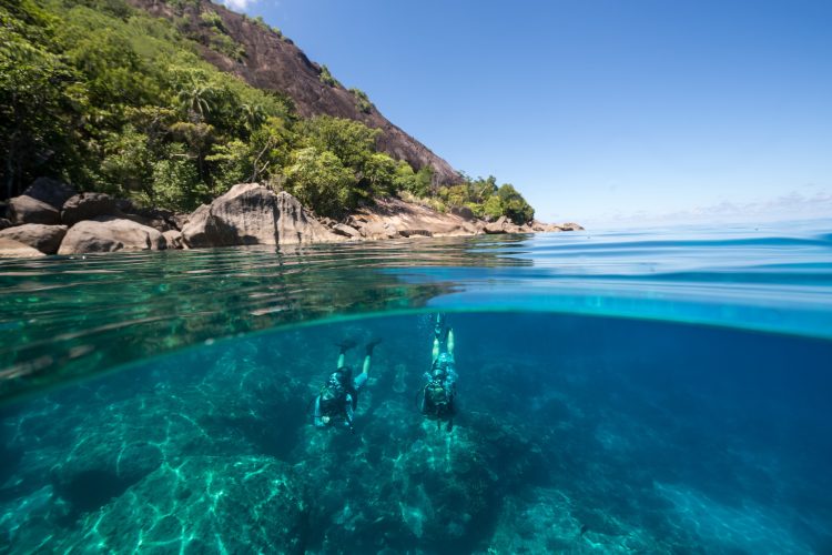 North Island Swimming