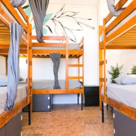 Tenerife Ocean nomad intern hostel