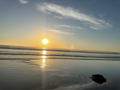 Olive Ridley coming to nest at sunset Costa Rica