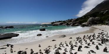 Climate and Geography of South Africa