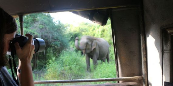 Photo opportunity with elephant