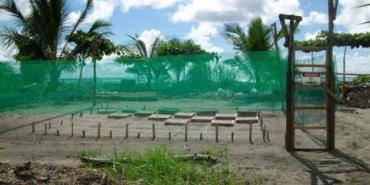 Playa Tortuga hatchery