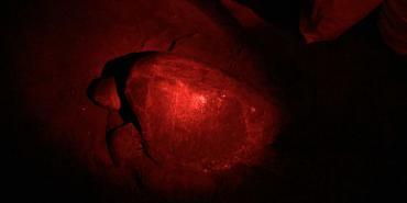 Sara family volunteer