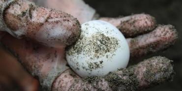 Smith family feedback Costa Rica