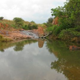 Pond by volunteer camp in South Africa