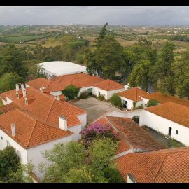 portugal_wildlife_accommodation