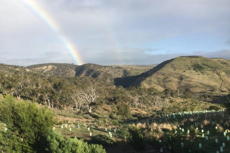 Rainbow over landscape in Australia
