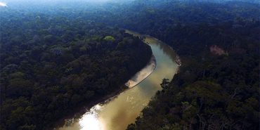 When Purchasing Rainforest Products: