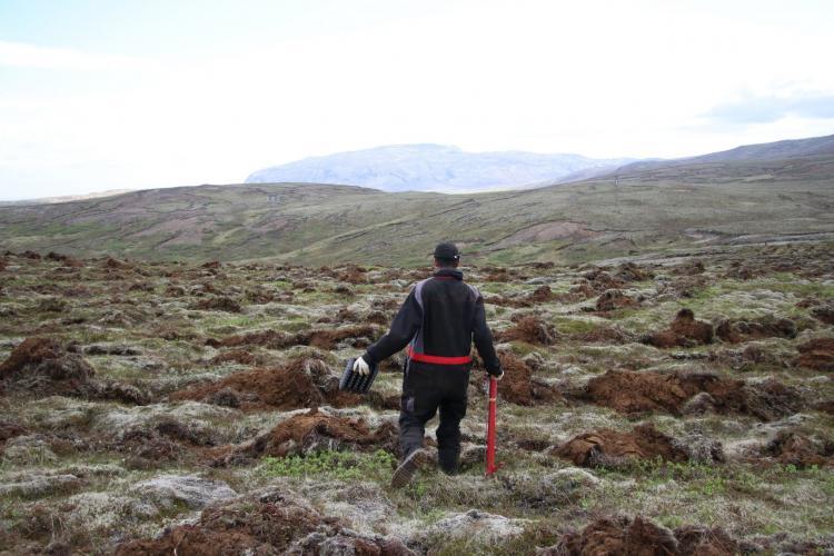 Volunteers planting trees in Iceland