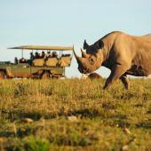 Shamwari Game Reserve Conservation Volunteer Programme, South Africa