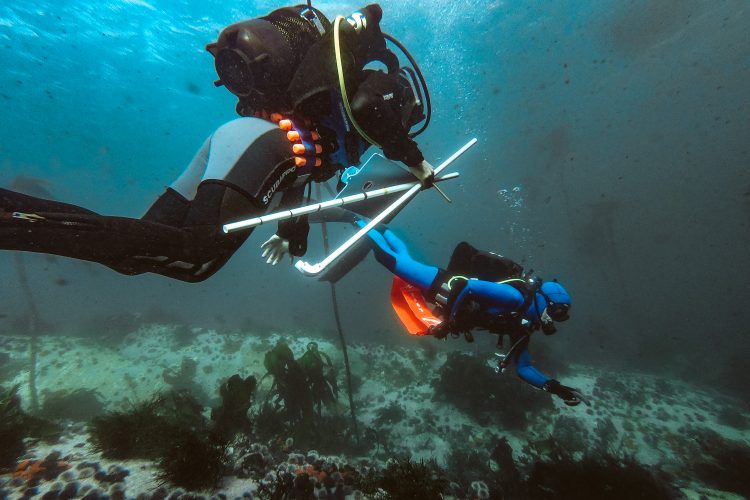 scuba data collection