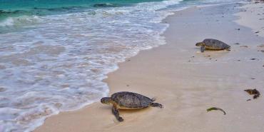 Climate and Geography