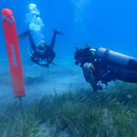 Seagrass Monitoring