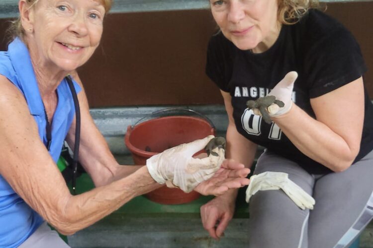 Seniors With Turtles