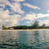 Seychelles Island Conservation Volunteer Programme