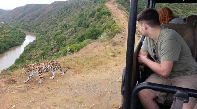 Researching leopards at Shamwari