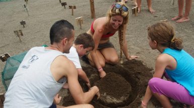 Show volunteers nest hatchery