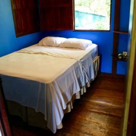 Volunteer simple room wildlife centre