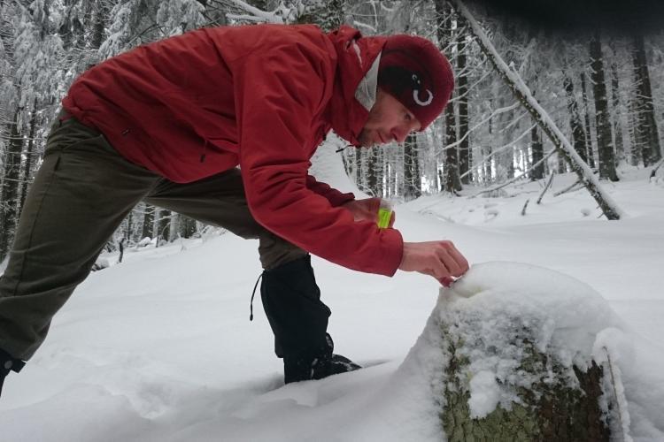 Volunteer setting Camera trap in Slovakia