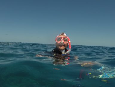 Volunteer snorkel Great barrier reef