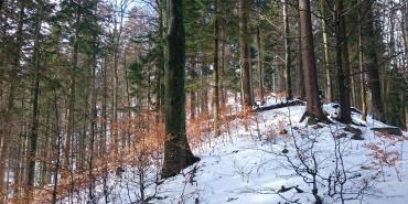 Geography and Climate