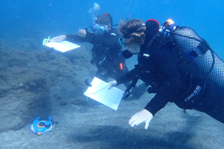 Spain Dive Transects