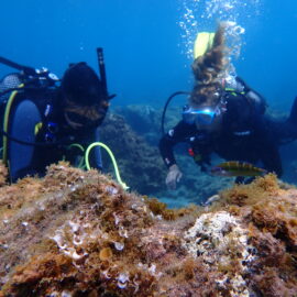 Spain Marine Research