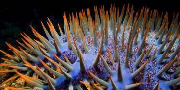 Weird and Wonderful Climate Facts: