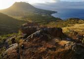 Statia Conservation Volunteer Project, St. Eustatius, Caribbean