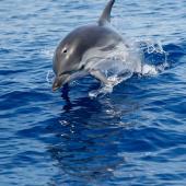 Victoria Golding, UK