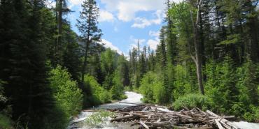 Geography and Climate